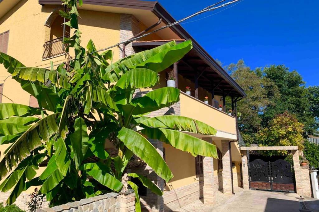 Flowery House Miglianico 外观 照片