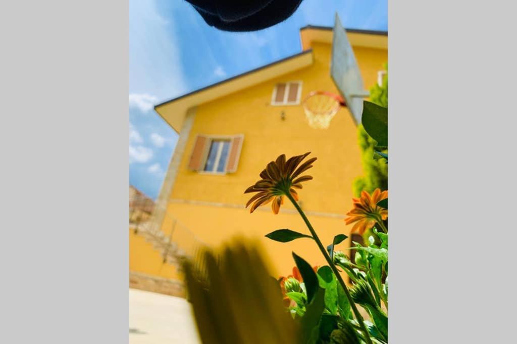 Flowery House Miglianico 外观 照片